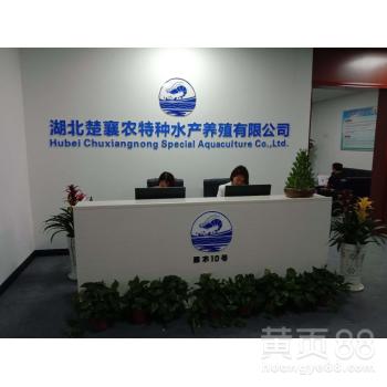 荆州工厂化养殖白对虾厂 开启现代化高效水产养殖新篇章